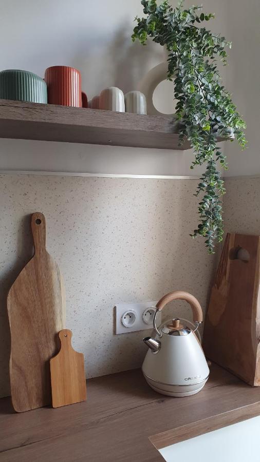 Appartement Au Calme T3 Rdc - Quartier De France ヴィシー エクステリア 写真